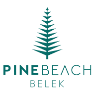 pine beach logo